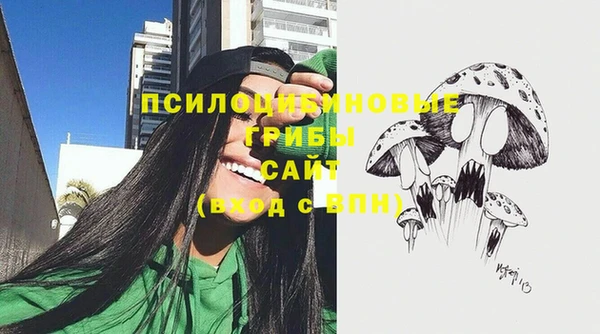 гидра Алексин