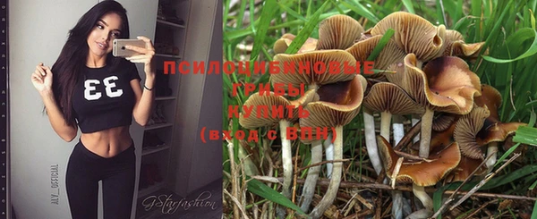 прущие крисы Алзамай