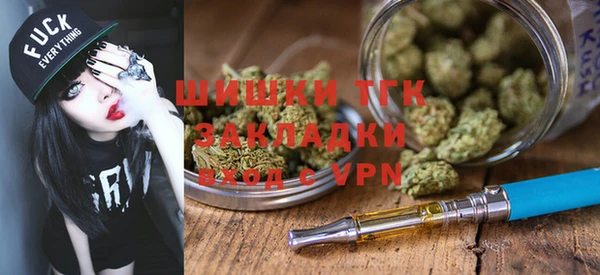 гидра Алексин