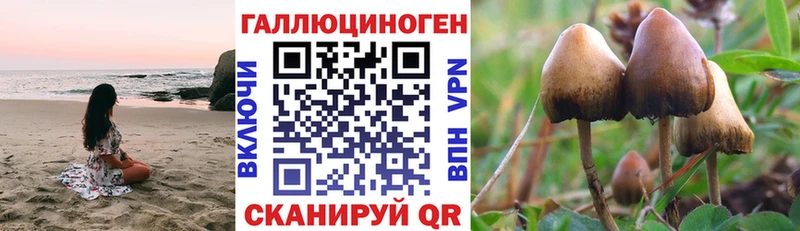 Галлюциногенные грибы GOLDEN TEACHER  blacksprut ССЫЛКА  Сосновоборск 